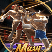 Arena333 APK APK icon